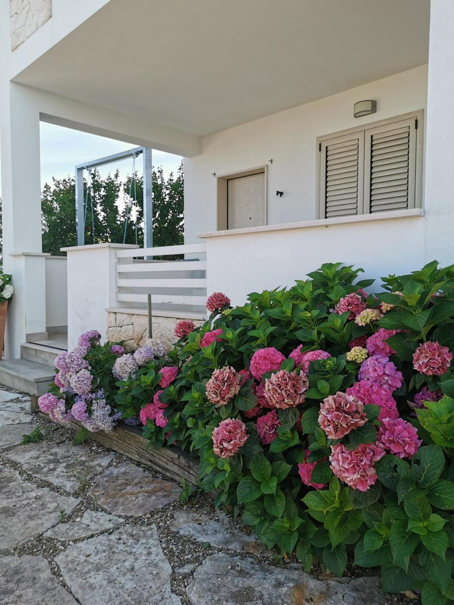 Appartement Vill'Aura à Vieste Extérieur photo